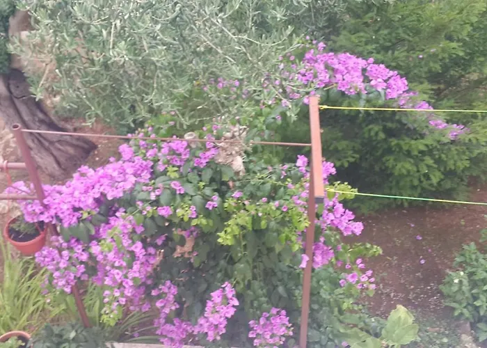 Apartmani A1 Marina, Okrug Gornji